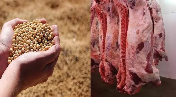 granos y carnes